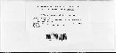 Melampsora lini image
