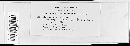 Melampsora lini image