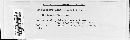 Melampsora lini image