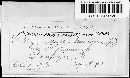 Melanopsichium pennsylvanicum image