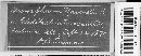 Erysiphe penicillata image