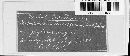 Microstroma juglandis image