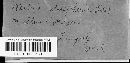 Nectria episphaeria image