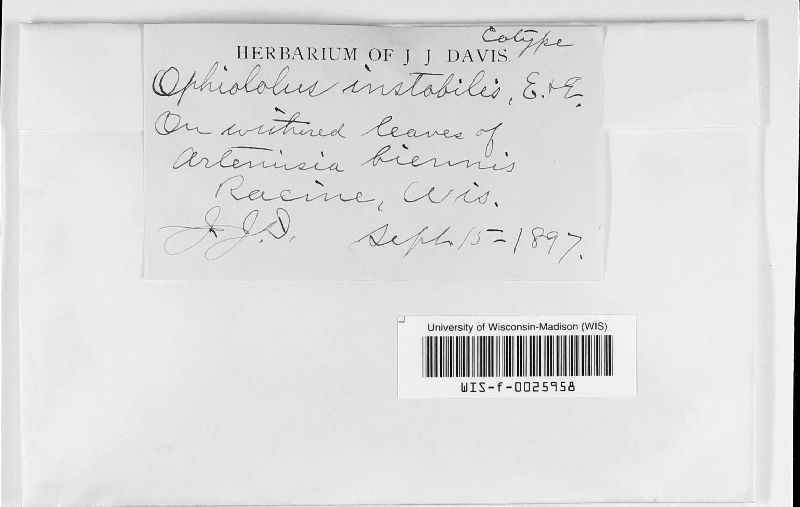 Ophiobolus instabilis image