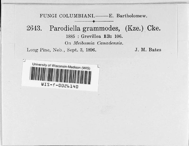Parodiellaceae image