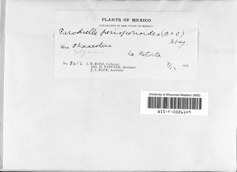 Parodiella perisporioides f. perisporioides image