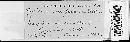 Passalora fasciculata image