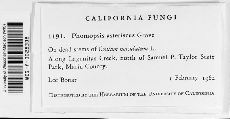 Phomopsis asteriscus image