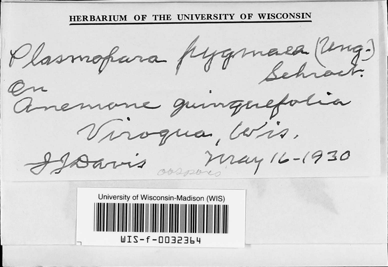 Plasmoverna image