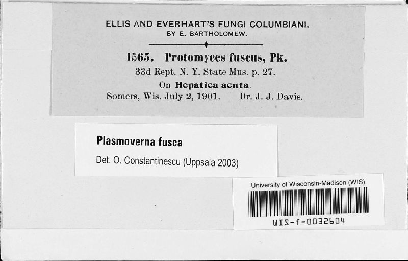 Plasmoverna image