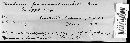 Plenodomus fuscomaculans image