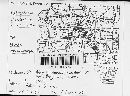 Podosphaera clandestina var. clandestina image