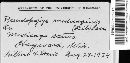 Pseudopeziza medicaginis image