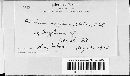 Puccinia karstenii image