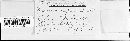 Puccinia canaliculata image