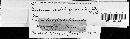 Puccinia caricina var. caricina image