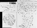 Puccinia cenchri image