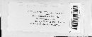 Puccinia coronata image