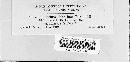 Puccinia menthae image
