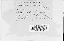 Puccinia mesomajalis image