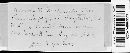 Puccinia polygoni-amphibii var. polygoni-amphibii image