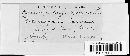 Puccinia pygmaea image