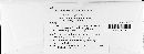 Puccinia recondita image