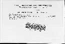 Puccinia recondita image