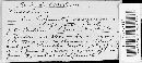 Puccinia recondita image