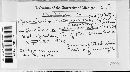 Puccinia recondita image