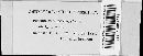 Puccinia recondita image