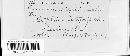 Puccinia silphii image