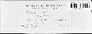Puccinia sorghi image