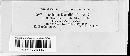 Puccinia tripsaci image