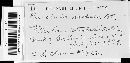 Puccinia violae image