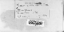 Puccinia xanthii image
