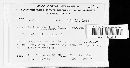 Naohidemyces vacciniorum image