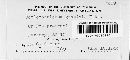 Scolicotrichum graminis image