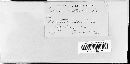 Septoria lactucae image