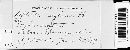 Septoria ostryae image