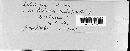 Septoria passerinii image