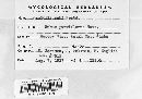 Mycosphaerella rubi image