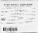 Mycosphaerella rubi image