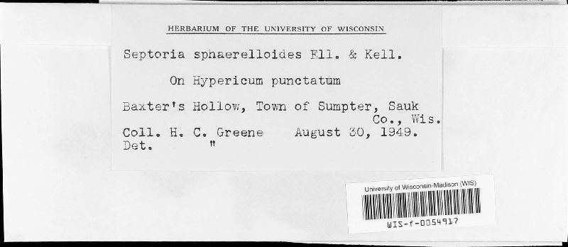 Septoria sphaerelloides image