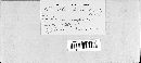 Podosphaera macularis image