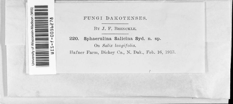 Sphaerulina salicina image