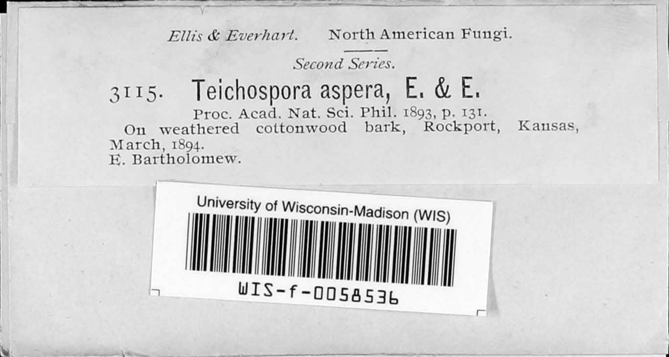 Teichospora aspera image