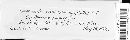 Tranzschelia pruni-spinosae image