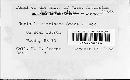Uncinula circinata image