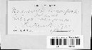 Uncinula macrospora image